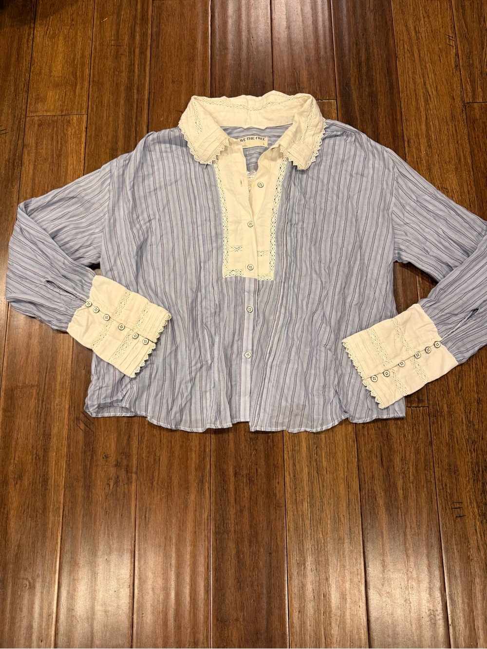 We the Free Light Blue Striped Button-Up Top with Cream Lace Trim